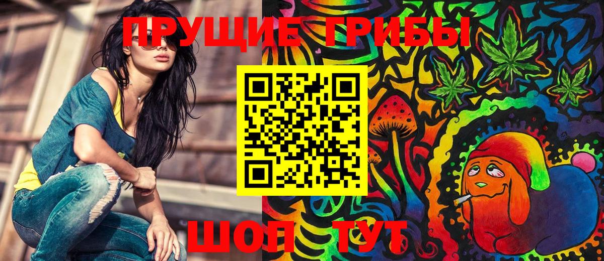 Псилоцибиновые грибы Psilocybine cubensis Кинешма