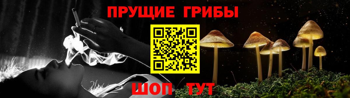 Кинешма  Псилоцибиновые грибы MAGIC MUSHROOMS  Вход с VPN 
